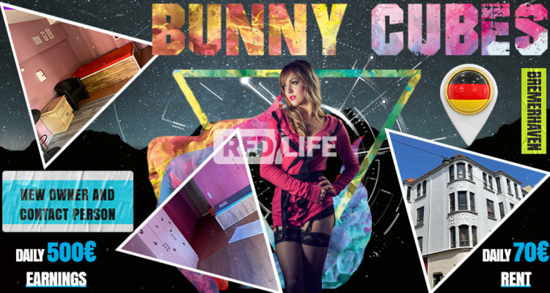 [Bunny Cubes] awaits you with