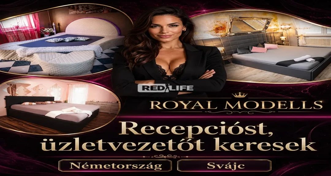 Tapasztalt, bar&aacute;ts&aacute;gos &eacute;s ig&eacute;nyes megjelen&eacute;sű