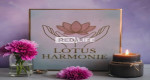 Recherche masseuse érotique