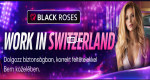 🇨🇭 WORK IN SWITZERLAND –