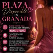 Alejandrapadice