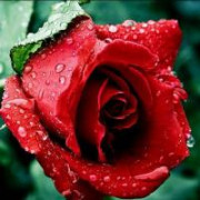 Dundiii