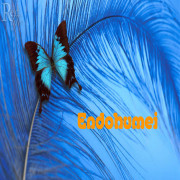 endohumei