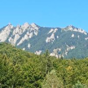 mihai-baciu