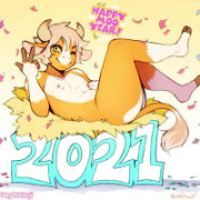 norj2137
