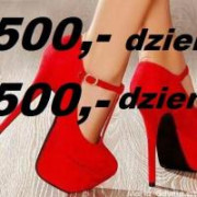 od-500-zl-za-dzien