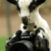 Photostudio