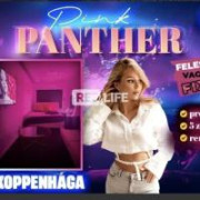 Pinkpanterbest