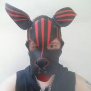 PupTwitch