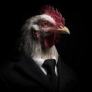 SeniorPollo