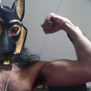 SteeleJackal