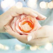 TantricRose