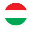 package type - lang icon
